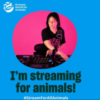 profile_DogloverNYCmusic